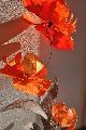 Fleurs des Ths by CL : 