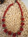 collier en graines