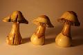 Champignon en if