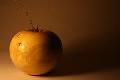 Le Bois dYlva Heitz Natacha : Pomme en buis