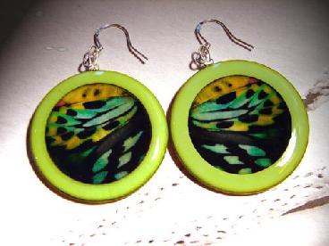 boucle d'oreille rond bois papillon