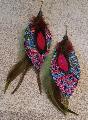 Plumes coq