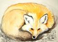 Aquarelle Renard