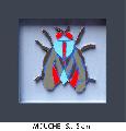 Mouche