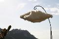 Mylia Cration : suspension