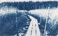 Fabienne Forel : paysage