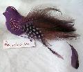 Broche Oiseau\'plum