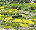 Zingral, Ladakh, Inde